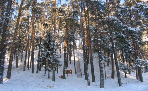 34. Kartuvių (Šibos) kalnas.jpg